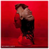 دانلود آهنگ شنیدنی Sevdaliza به نام Human