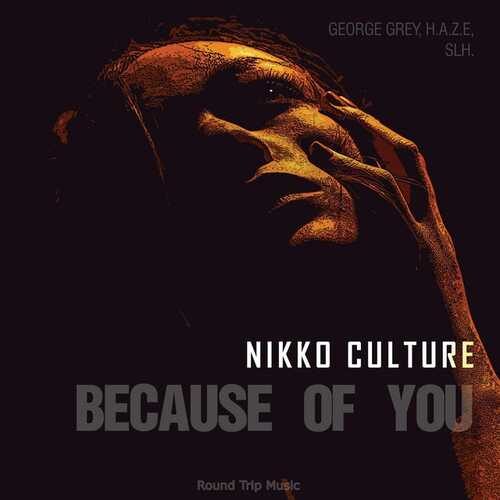 دانلود آهنگ ریمیکس Nikko Culture به نام Because Of You