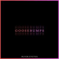 دانلود آهنگ زیبای Jvla به نام goosebumps