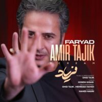 دانلود آهنگ امیر تاجیک با نام فریاد