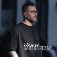 دانلود آهنگ گرشا رضایی با نام دو پرنده دانلود آهنگ گرشا رضایی با نام دو پرنده