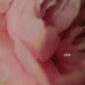 دانلود آهنگ Lewis Capaldi با نام Survive