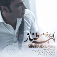 دانلود آهنگ شهرام شکوهی با نام دلبر طناز