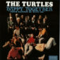 دانلود آهنگ The Turtles با نام Happy Together