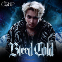 دانلود آهنگ CSNP با نام BLEED COLD
