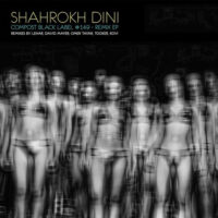 دانلود آهنگ Shahrokh Dini با نام Inner Core for Love Remix