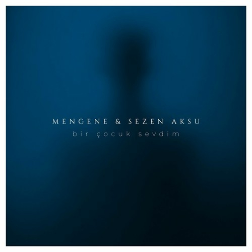 Sezen Aksu Bir Çocuk Sevdim