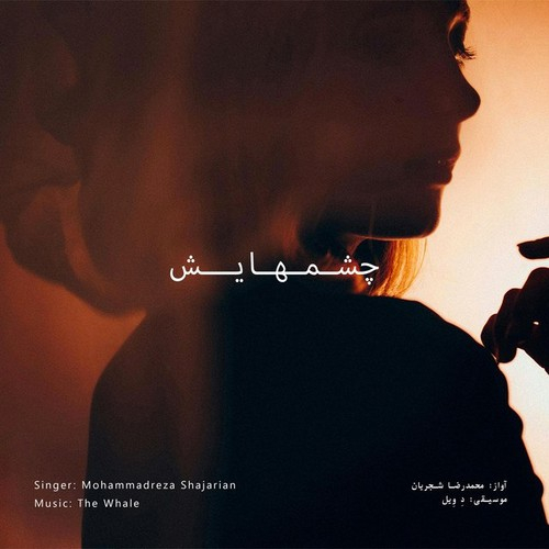 The Whale Chashmhayash - Rework of M.R Shajarian