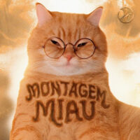 دانلود آهنگ Lenar با نام Montagem Miau
