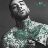 دانلود آهنگ Zayn با نام Daydreamin