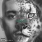 دانلود آلبوم KONNAKOL از ZAYN (جدید)