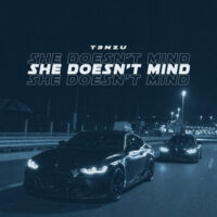 دانلود آهنگ T3NZU با نام She Doesnt Mind
