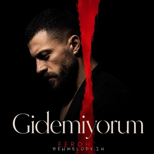 EEROH Gidemiyorum