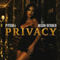 دانلود آهنگ Pitbull با نام Privacy