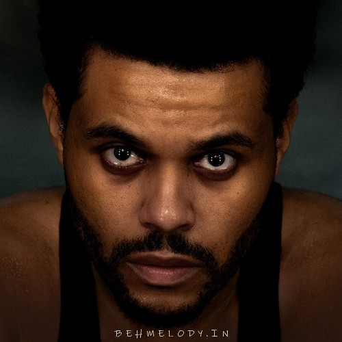 The Weeknd Enjoy The Show