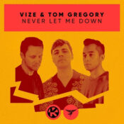 دانلود آهنگ نور لت می داون VIZE – Never Let Me Down