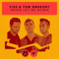 دانلود آهنگ نور لت می داون VIZE – Never Let Me Down