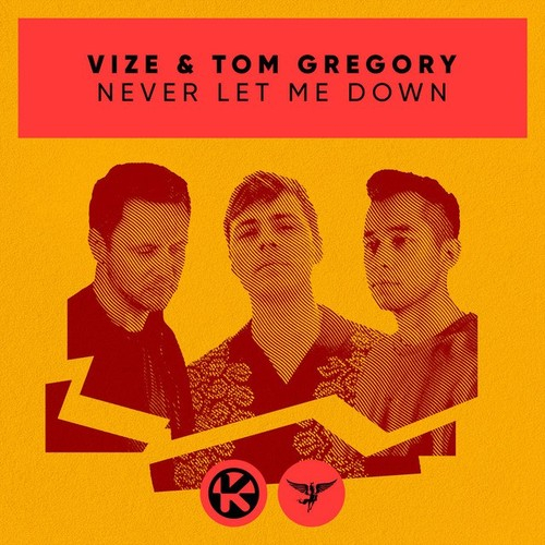 VIZE Never Let Me Down