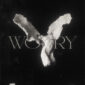 دانلود آهنگ فانک riserayss با نام Worry – Ultra Slowed دانلود آهنگ فانک riserayss با نام Worry – Ultra Slowed