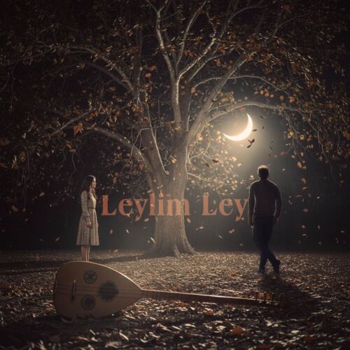 CoverTürk Leylim Ley