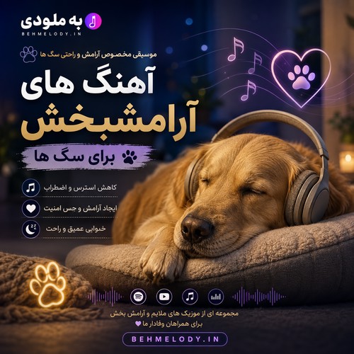 آهنگ برای آرامش سگ