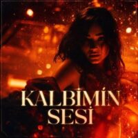 دانلود آهنگ Samet Şahin – Mezarımda Ters Döndürdün | میزاریمدا ترس دون‌دوردون
