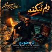 دانلود آهنگ میثم ابراهیمی با نام دلم تنگته