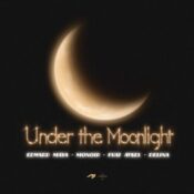 دانلود آهنگ جدید ادوارد مایا Edward Maya با نام Under The Moonlight