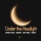 دانلود آهنگ جدید ادوارد مایا Edward Maya با نام Under The Moonlight