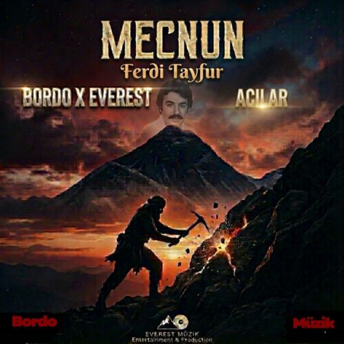 Ferdi Tayfur X mecnun Acılar (Remix)