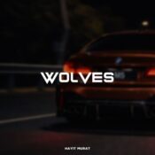دانلود آهنگ Hayit Murat با نام Wolves دانلود آهنگ Hayit Murat با نام Wolves
