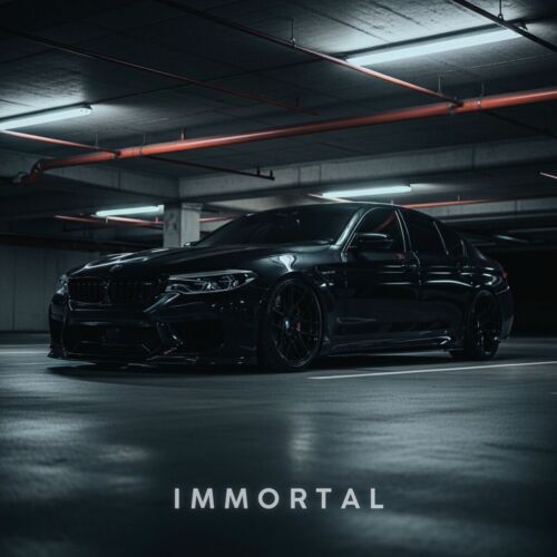 ODENN Immortal