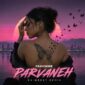 دانلود آهنگ ریمیکس Panicnine با نام Parvaneh (DJ WERSY REMIX)