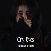 دانلود آهنگ DJ Saad Official با نام Cry Eyes – Mehrab Mix