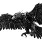 دانلود آهنگ XO1 با نام GESANGSVOGEL