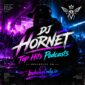 دانلود پادکست‌های دی جی هورنت Top Hits | ریمیکس‌های DJ Hornet